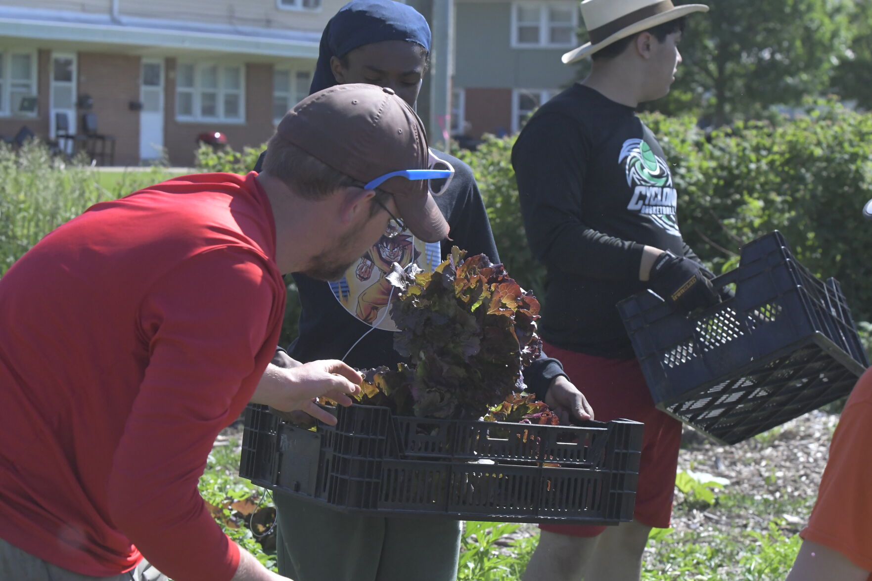 Sunnyside Community Garden and Food Forest